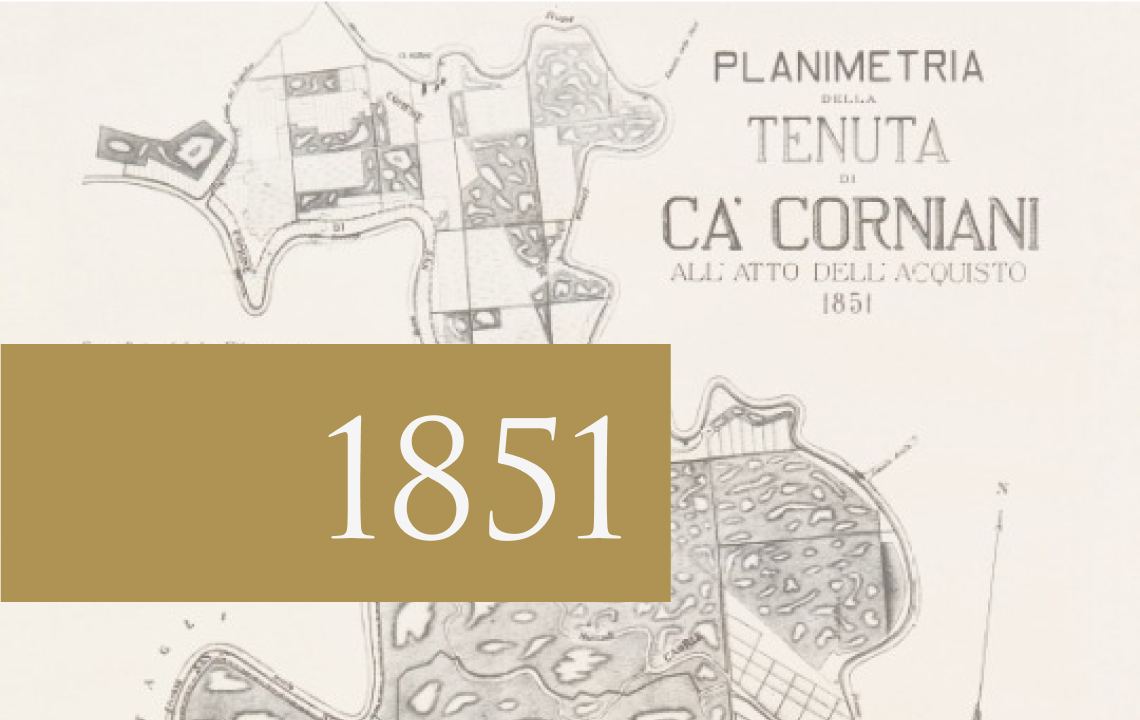 Illustration of the layout of Tenuta Ca’ Corniani
