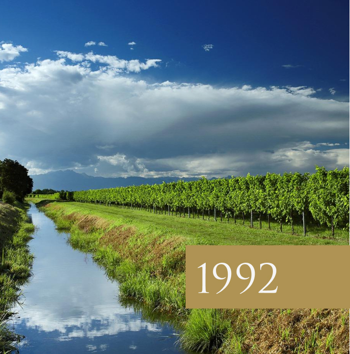 The photo shows a vineyard on the banks of a stream