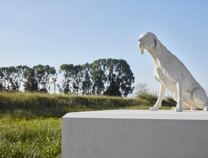 Ca' Corniani soglia ovest variation