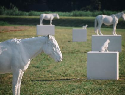 Ca' Corniani Marco Paris 2