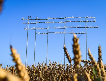 Ca' Corniani Marco Paris 3